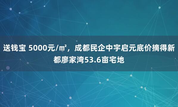 送钱宝 5000元/㎡，成都民企中宇启元底价摘得新都廖家湾53.6亩宅地