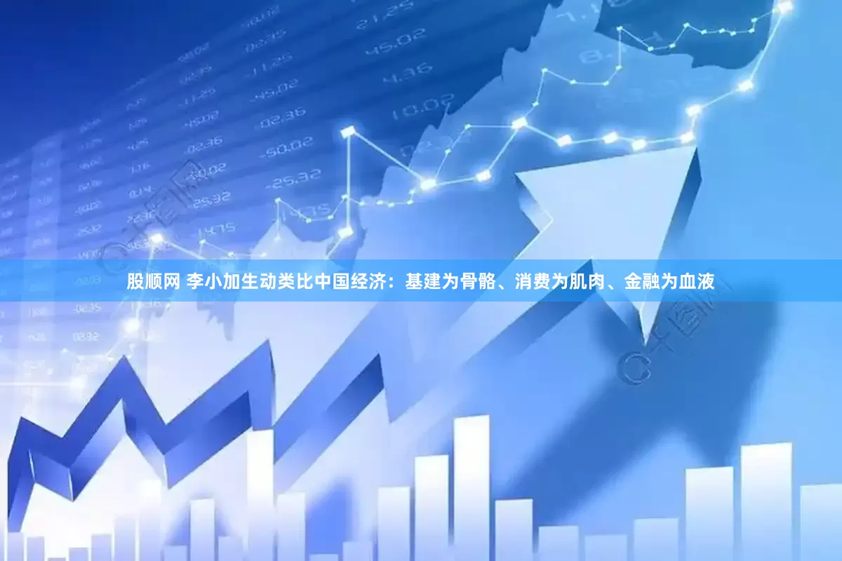股顺网 李小加生动类比中国经济：基建为骨骼、消费为肌肉、金融为血液